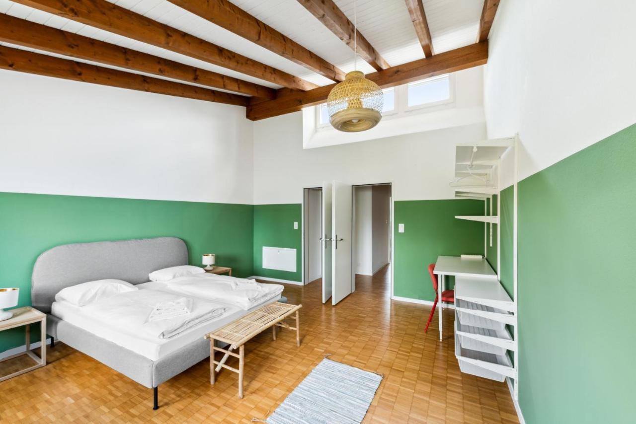 Cozy Apartments Close To The Center Of Zurich Forch Exterior photo