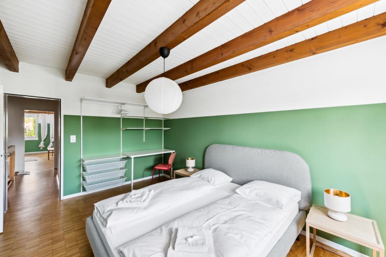 Cozy Apartments Close To The Center Of Zurich Forch Exterior photo