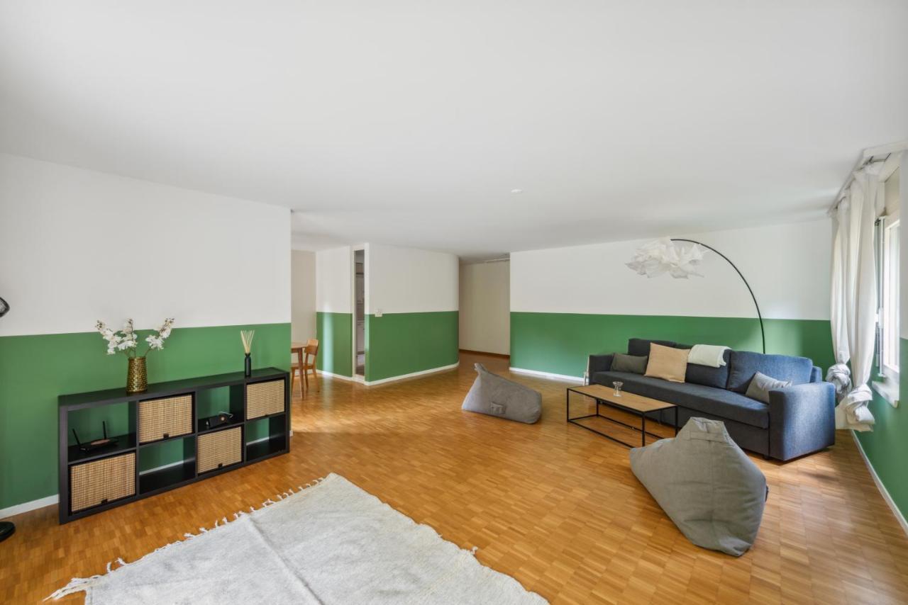 Cozy Apartments Close To The Center Of Zurich Forch Exterior photo